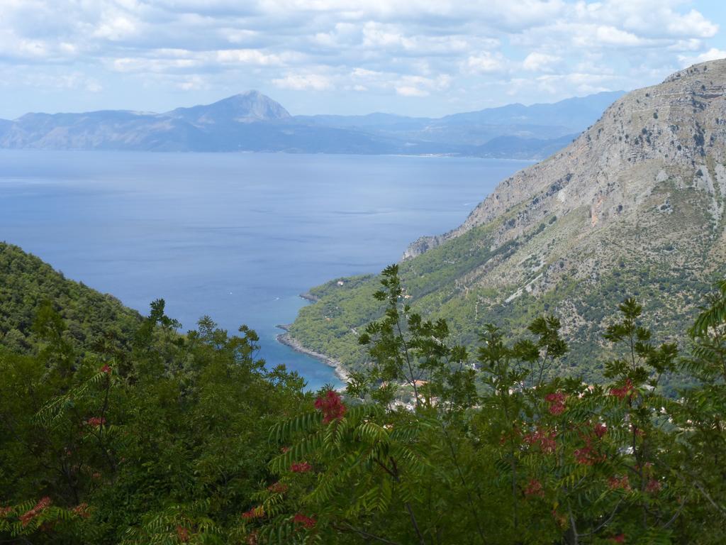 Degli Aranci 3* Maratea