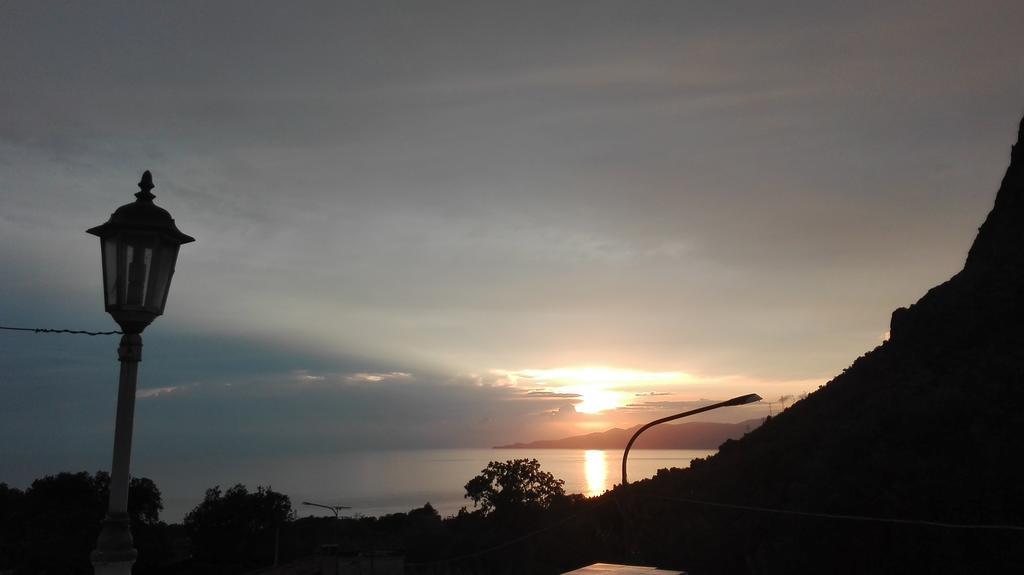 Degli Aranci